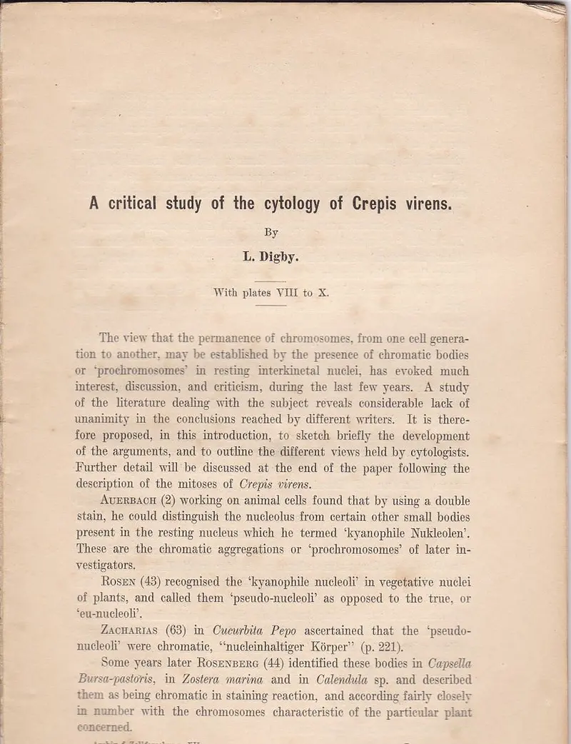 A Critical Study Of The Cytology Of Crepis Virens 1
