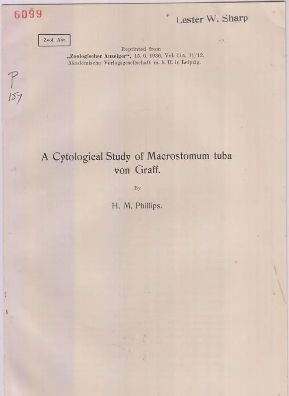 A Cytological Study Of Macrostomum Tuba Von Graff  By Phillips, H.M. 1