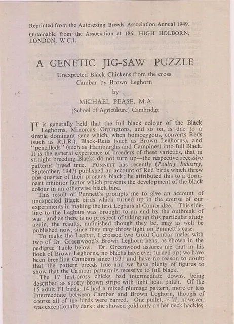 A Genetic Jigsaw Puzzle: Unexpected Black Chickens From The Cross Cambar By Brown Leghorn  By Pease, Michael 1