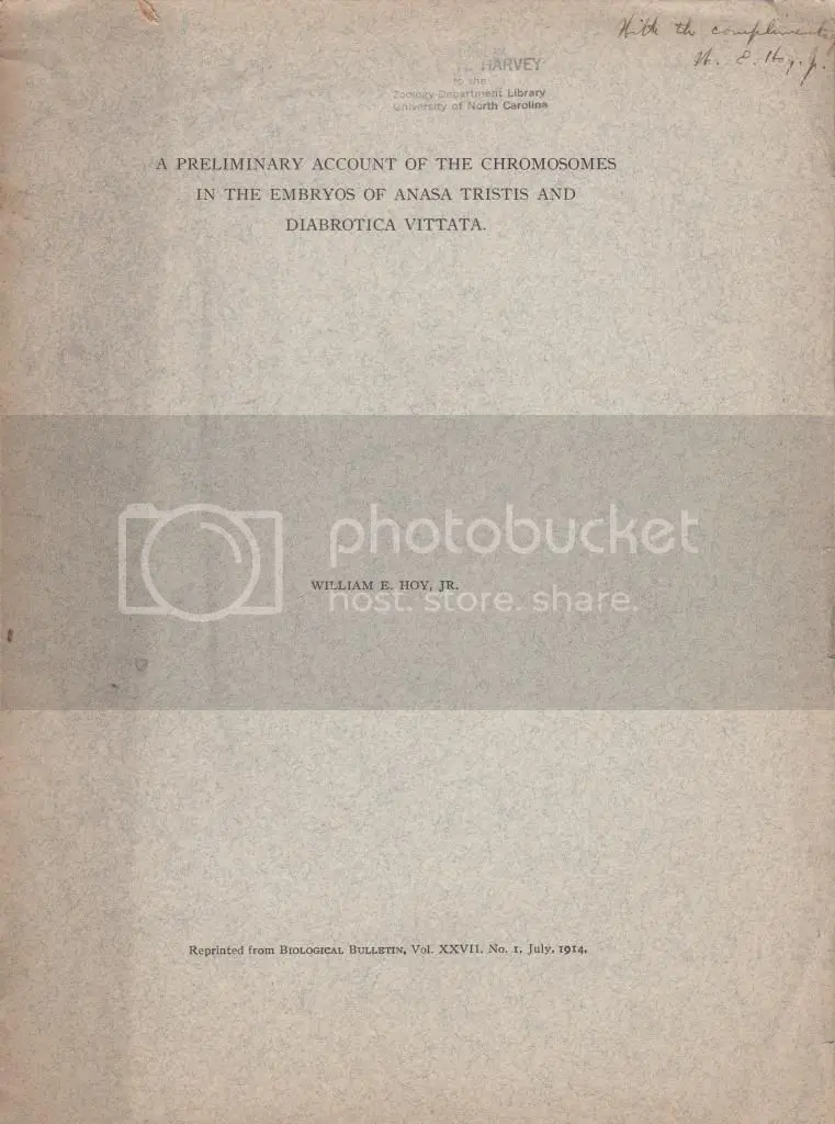 A Preliminary Account Of Thecchromosomes In The Embryos Of Anasa Tristis And Diabrotica Vittata  By Hoy, W. E. Jr. 1