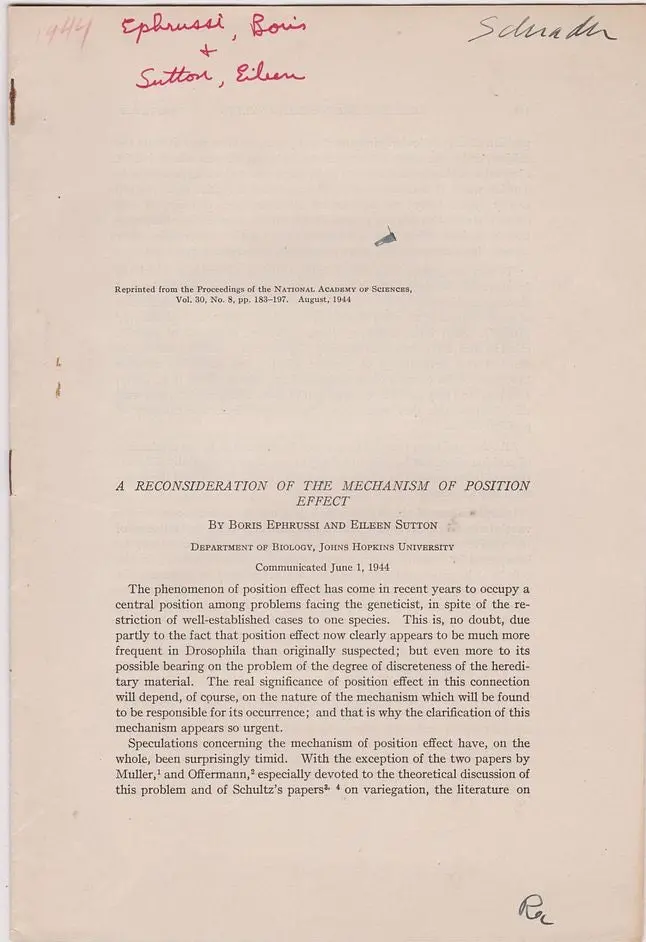 A Reconsideration Of The Mechanism Of Position Effect 1