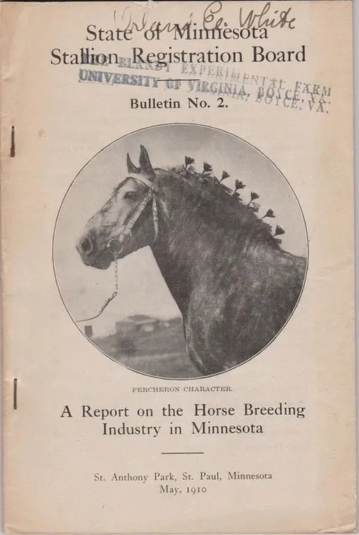 A Report On The Horse Breeding Industry In Minnesota 1