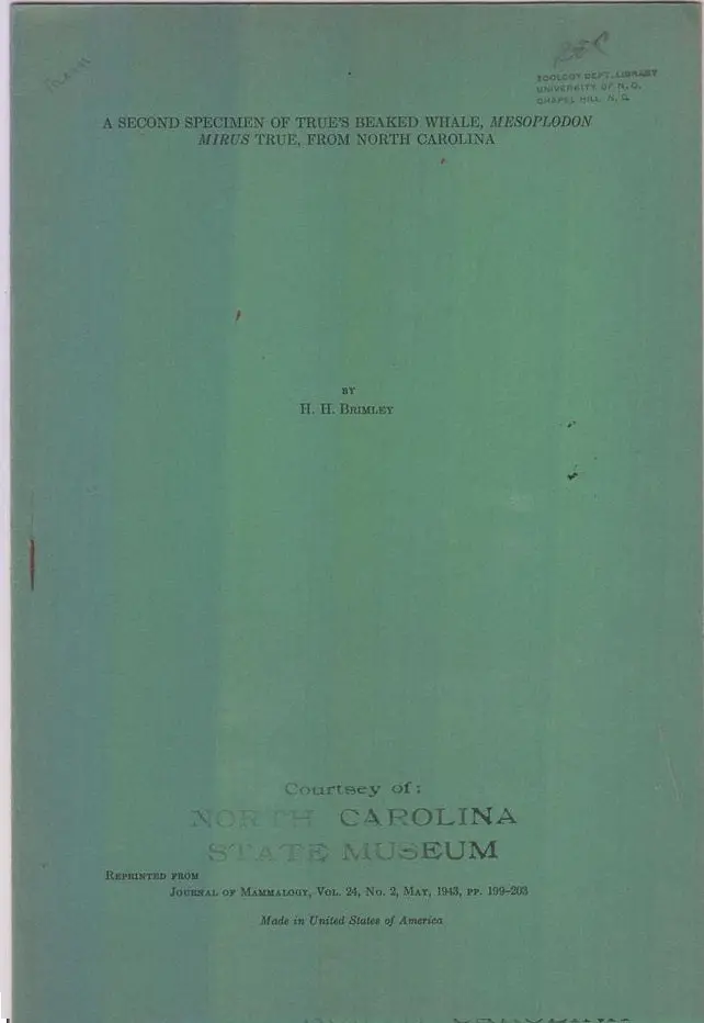 A Second Specimen Of True's Beaked Whale, Mesoplodon Mirus True, From North Carolina  By Brimley, H.H. 1