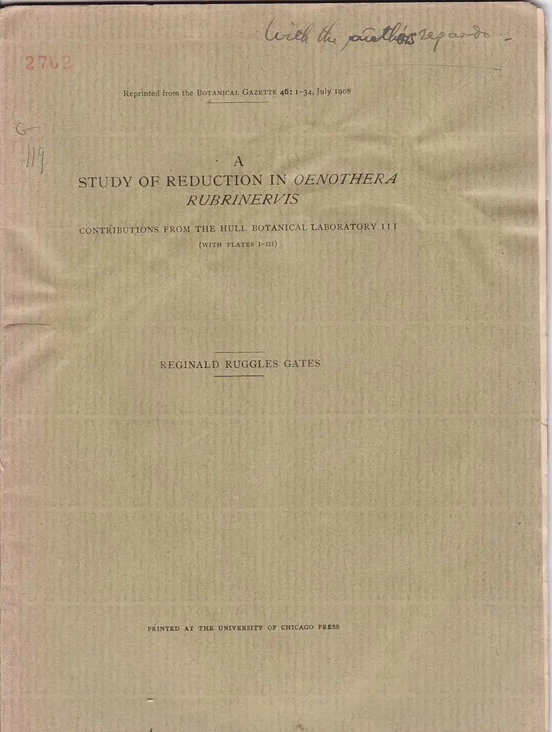 A Study Of Reduction In Oenothera Rubrinervis 1