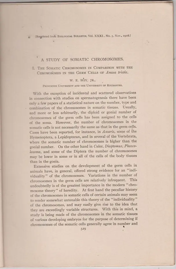 A Study Of Somatic Chromosomes, I. The Somatic Chromosomes In Comparison With The Chromosomes In The Germ Cells Of Anasa Tristis 1