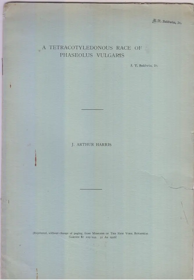 A Tetracotyledonous Race Of Phaseolus Vulgaris  By Harris, J. Arthur 1