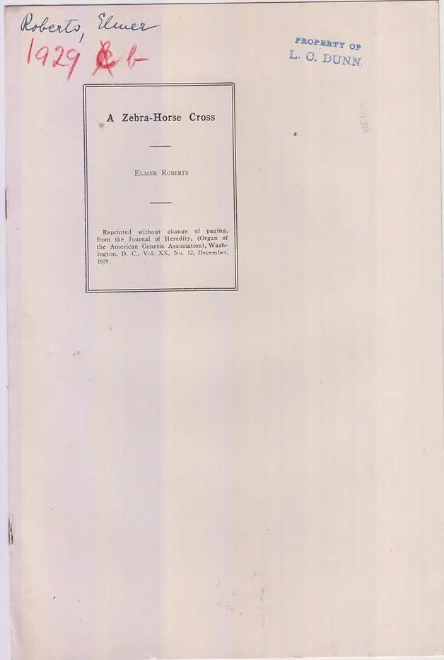 A Zebra-Horse Cross  By Roberts, Elmer 1