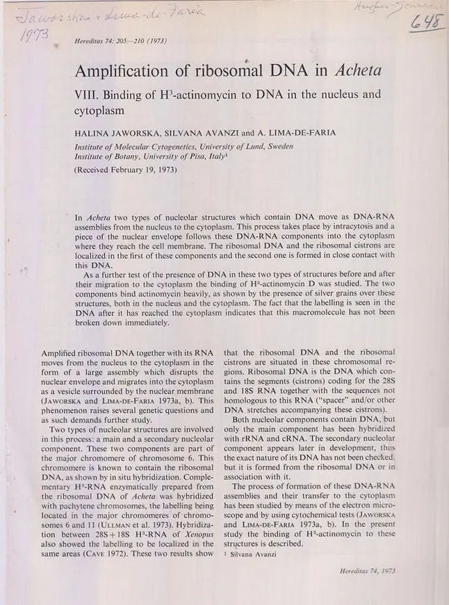 Amplification Of Ribosomal Dna In Acheta, Viii. Binding Of H3-Actinomycin To Dna In The Nucleus And Cytoplasm. By Jaworska, Halina, Silvana Avanzi, A. Lima-De-Faria. 1