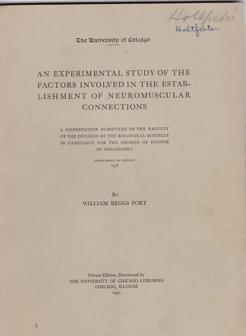 An Experimental Study Of The Factors Involved In The Establishment Of Neuromuscular Connections 1