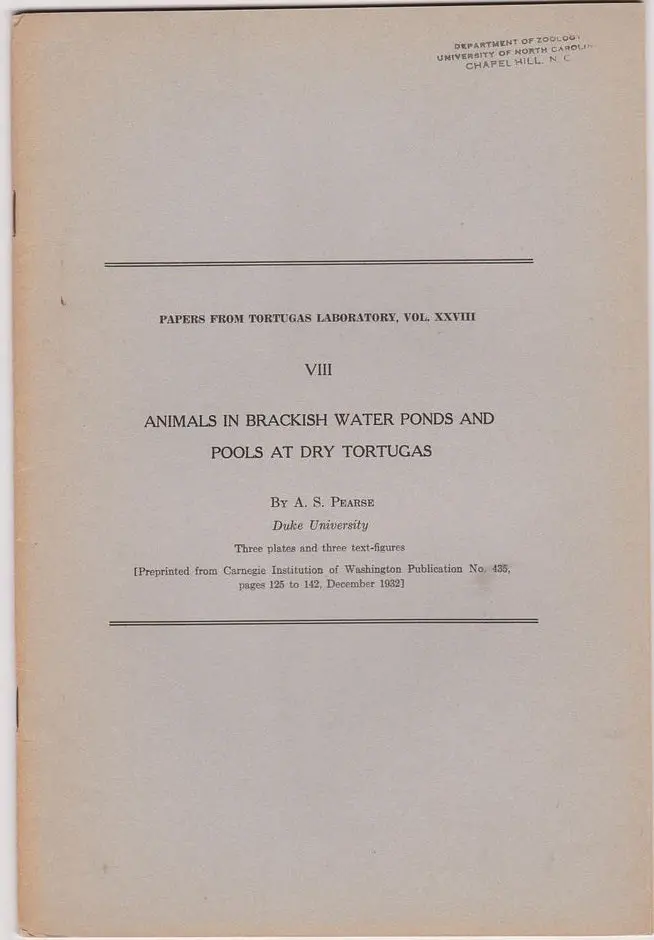 Animals In Brackish Water Ponds And Pools At Dry Tortugas 1