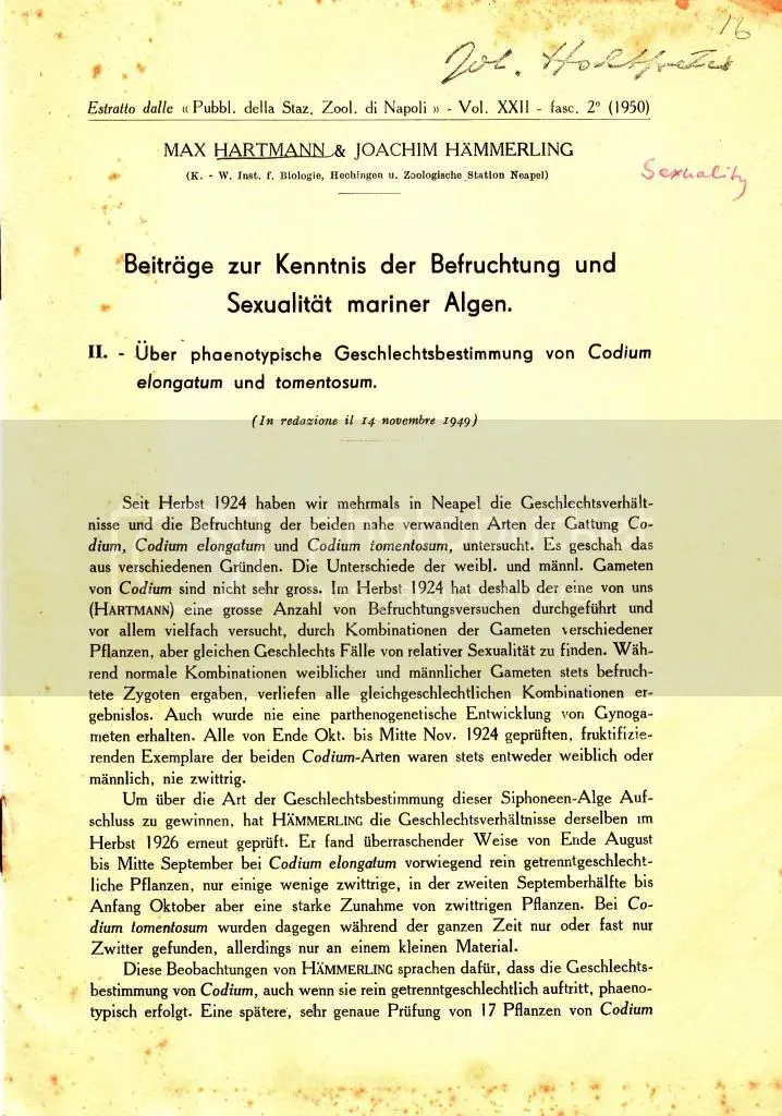 Beitrage Zur Kenntnis Der Befruchtung Und Sexualitat Mariner Algen. Ii. Uber Phaenotypische Geschlechtsbestimmung Von Codium Elongatum Und Tomentosum By Hartmann, Max., And Hammerling Joachim. 1