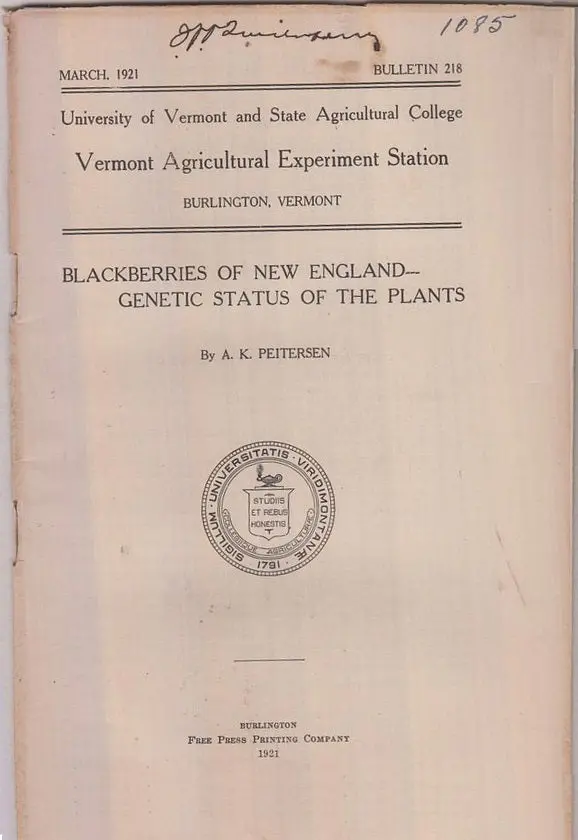 Blackberries Of New England ? Genetic Status Of The Plants.  By Peitersen, A.K. 1
