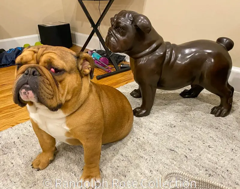 Bronze Bulldog Statue 1