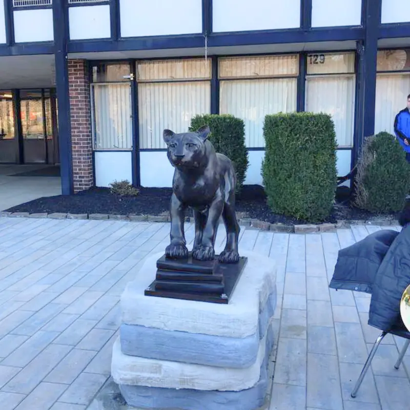 Bronze Cougar Statue On Books 1