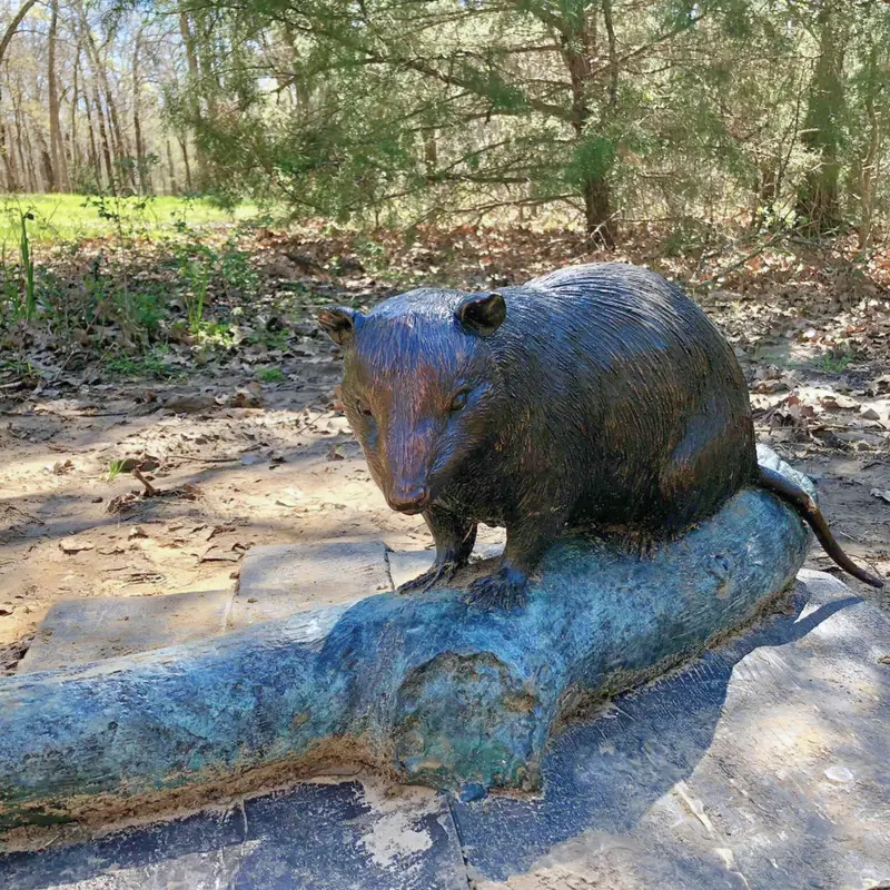 Bronze Opossum Statue 1