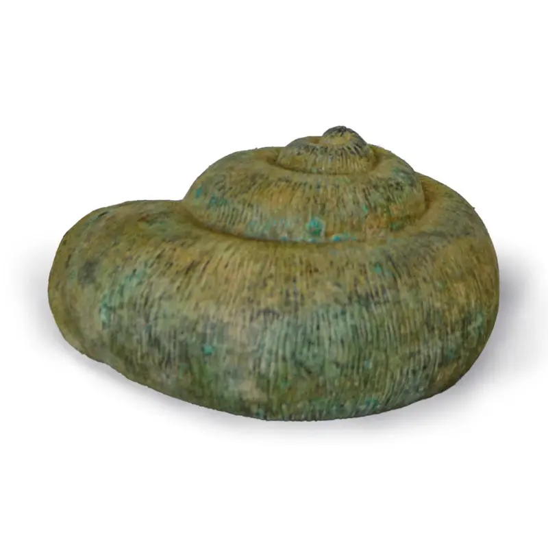 Bronze Snail Shell 1