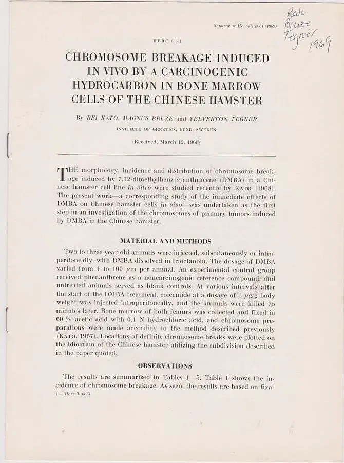 Chromosome Breakage Induced In Vivo By A Carcinogenic Hydrocarbon In Bone Marrow Cells Fo The Chinese Hamster 1