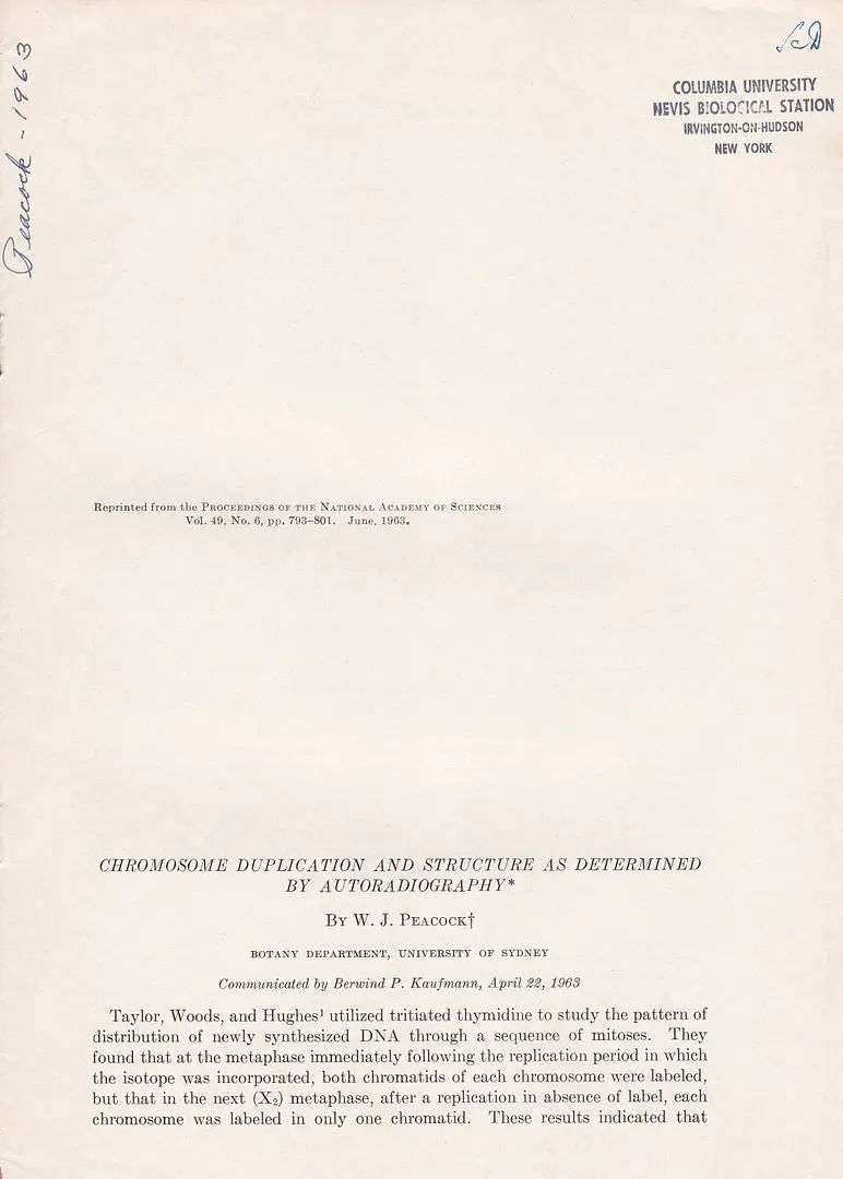 Chromosome Duplication And Structure As Determined By Autoradiography 1