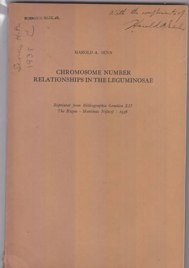 Chromosome Number Relationships In The Leguminosae  By Senn, Harold A. 1