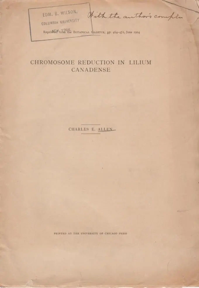 Chromosome Reduction In Lilium Canadense  By Allen, Charles. E. 1