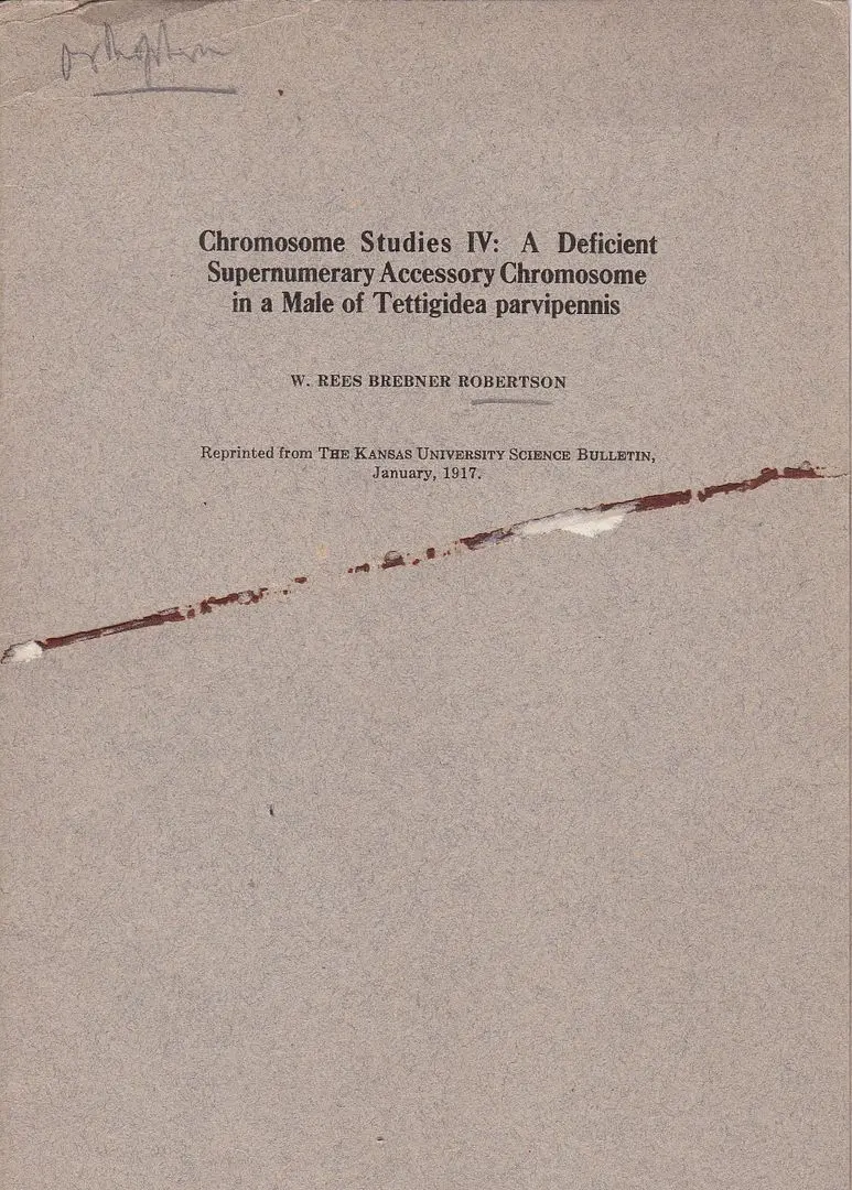 Chromosome Studies Iv: A Deficient Supernumerary Accessory Chromosome In A Male Of Tettigidea Parvipennis 1