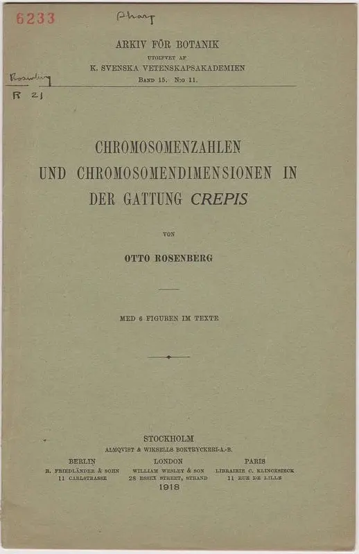 Chromosomenzahlen Und Chromosomendimensionen In Der Gattung Crepis 1