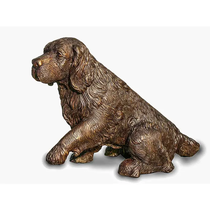 Cocker Spaniel Sitting 1