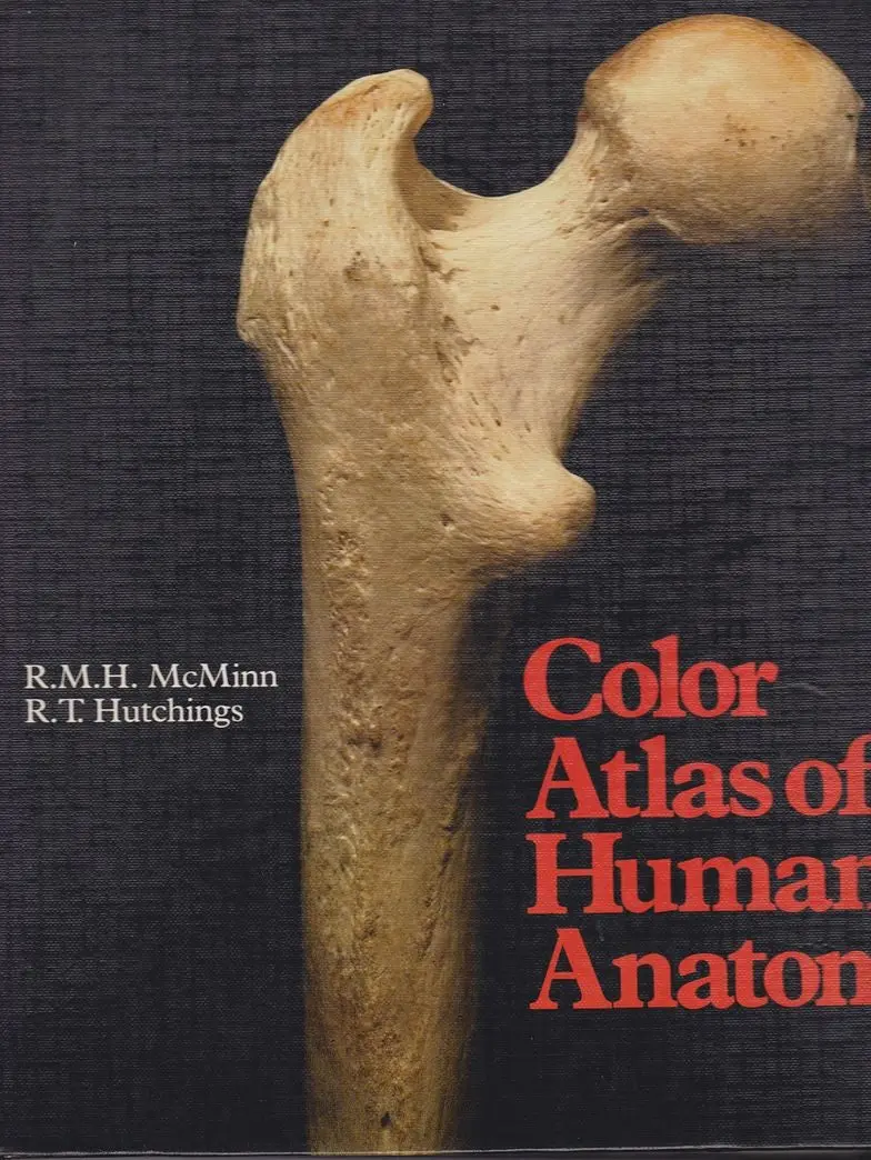 Color Atlas Of Human Anatomy 1