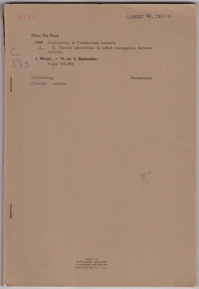 Conjugation In Paramecium Bursaria. Ii. Nuclear Phenomena In Lethal Conjugation Between Varieties 1