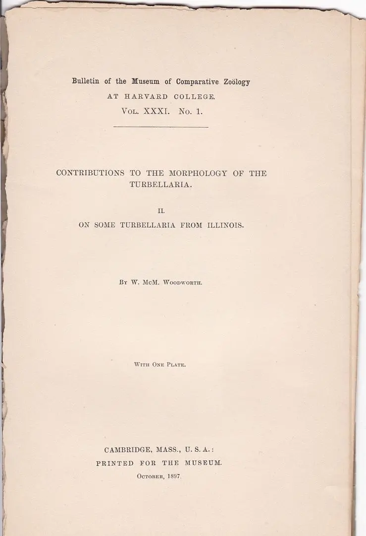 Contributions To The Morphology Of The Turbellaria Ii. On Some Turbellaria From Illinois 1