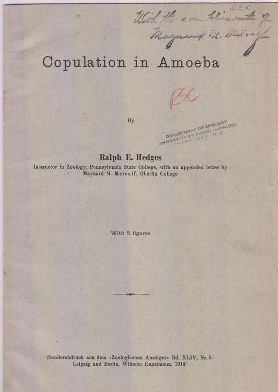 Copulation In Amoeba  By Hedges, Ralph E. 1