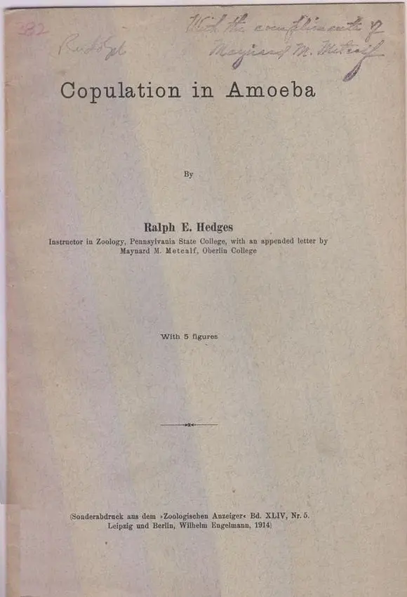 Copulation In Amoeba By Hedges, Ralph E. 1