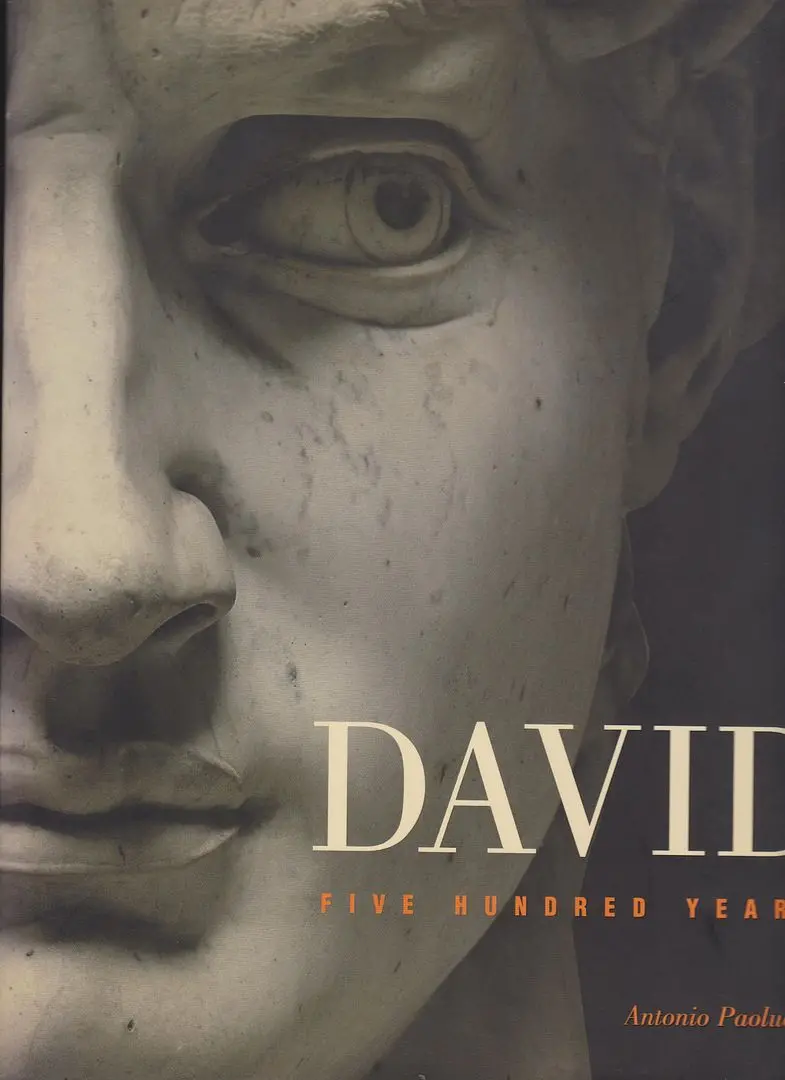 David Five Hundred Years 1