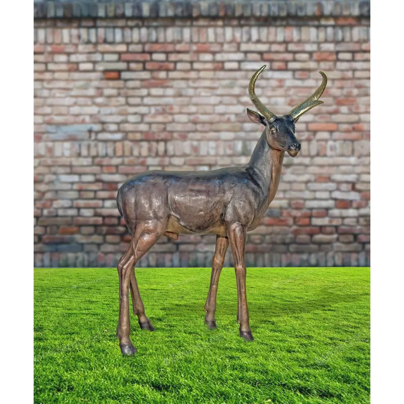 Deer Buck Standing 1