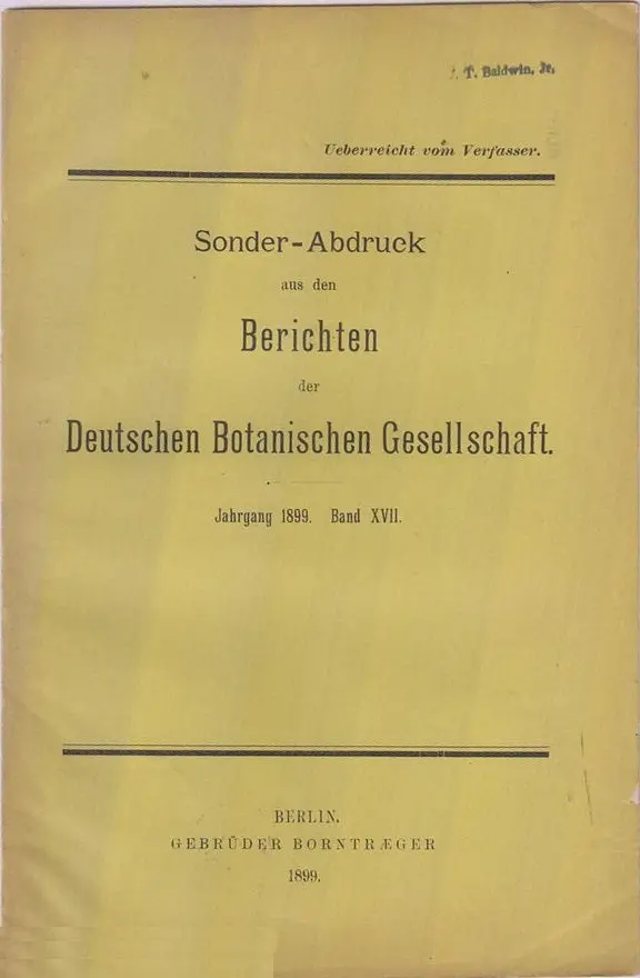 Die Entwickelung Des Embryosackes Von Peperomia Pellucida Kunth  By Campbell, Douglas H. 1