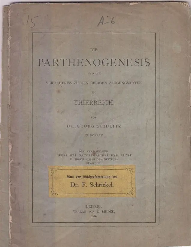 Die Parthenogenesis Und Ihr Verhaltniss Zu Den Ubrigen Zeugungsarten Im Thierreich  By Seidlitz, Georg 1