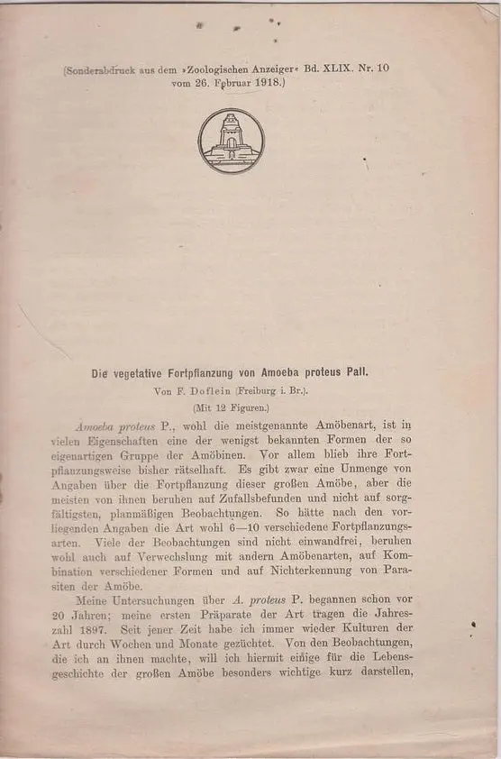 Die Vegetative Fotpflanzung Von Amoeba Proteus Pall 1