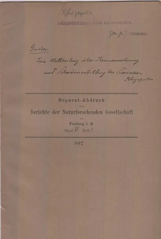 Eine Mittheilung Uber Kernvermehrung Und Schwarmer-Bildung Bei Susswasser-Rhizopoden  By Gruber, August 1