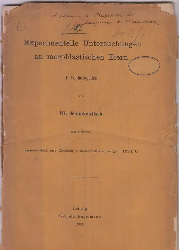 Experimentelle Untersuchungen An Meroblastischen Eiern, I. Cephalopoden  By Schimkewitsch, Wl. 1