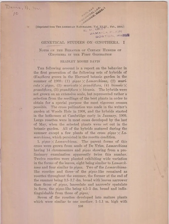 Genetical Study On Oenothera, I. Notes On The Behavior Of Certain Hybrids Of Oenothera In The First Generation By Davis, Bradley Moore 1