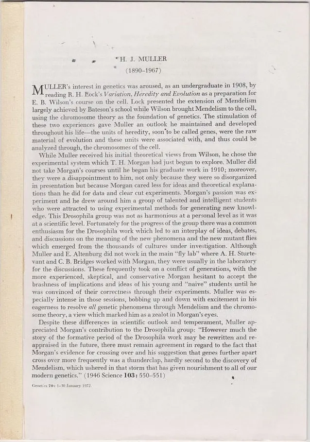 H.J. Muller (1890-1967) 1
