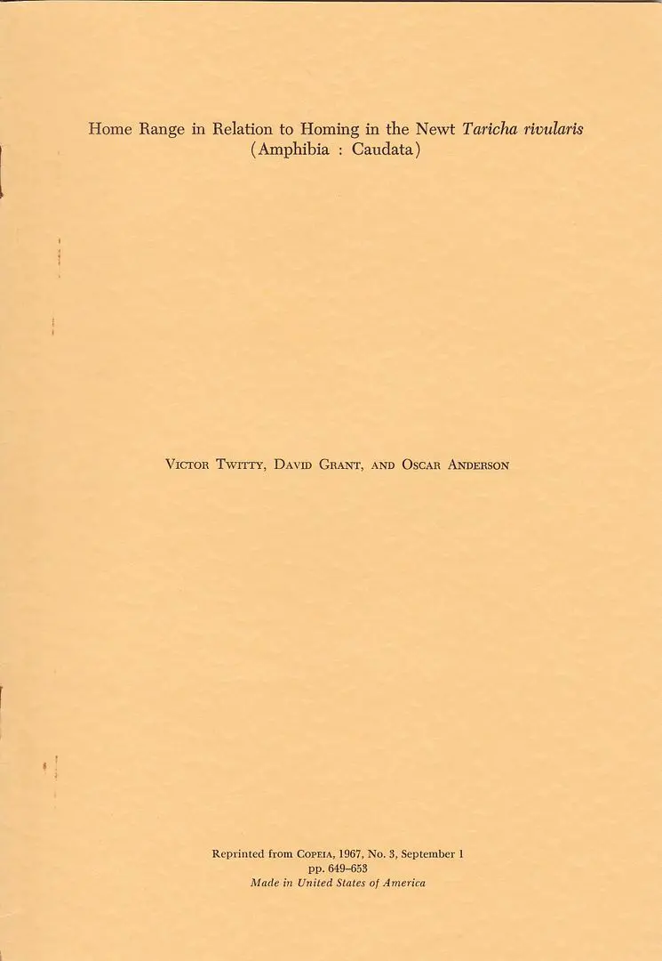 Home Range In Relation To Homing In Newt Traicha Rivularis (Amphibia : Caudata) 1
