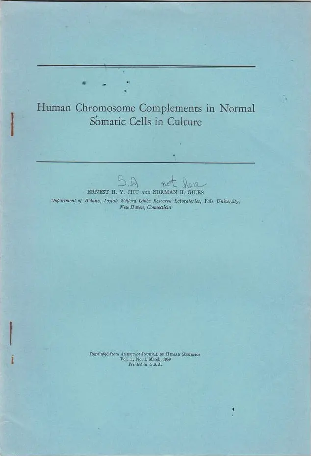 Human Chromosome Complements In Normal Somatic Cells In Culture 1