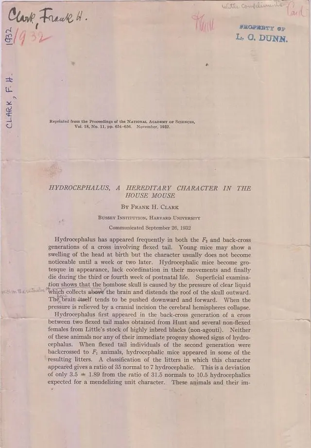 Hydrocephalus, A Hereditary Character In The House Mouse  By Clark, Frank H. 1