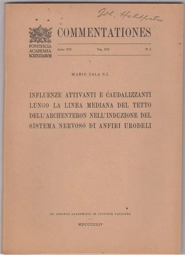 Influenze Attivanti E Caudalizzanti Lungo La Linea Mediana Del Tetto Dell'archenteron Nell' Induzione Del Sistema Nervoso Di Anfibi Urodeli 1