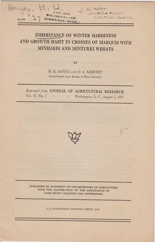 Inheritance Of Winter Hardiness And Growth Habit In Crosses Of Marquis With Minhardi And Minturki Wheats 1
