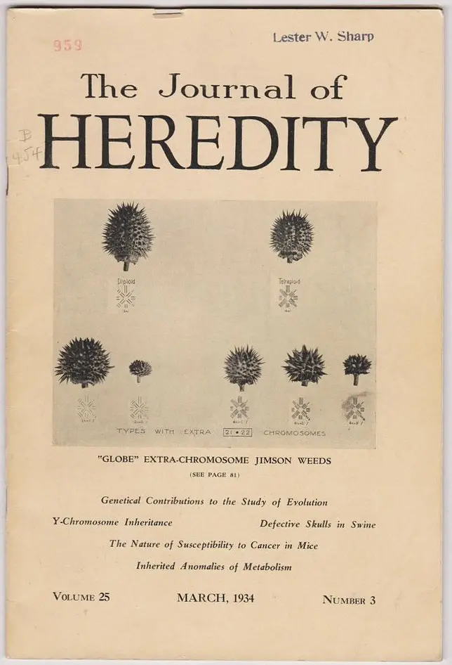 Journal Of Heredity Vol. 25, No. 3. 1