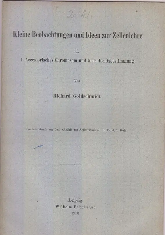 Kleine Beobachtungen Und Ideen Zur Zellenlehre, I. Accessorisches Chromosom Und Geschlechtsbestimmung By Godlschmidt, Richard 1