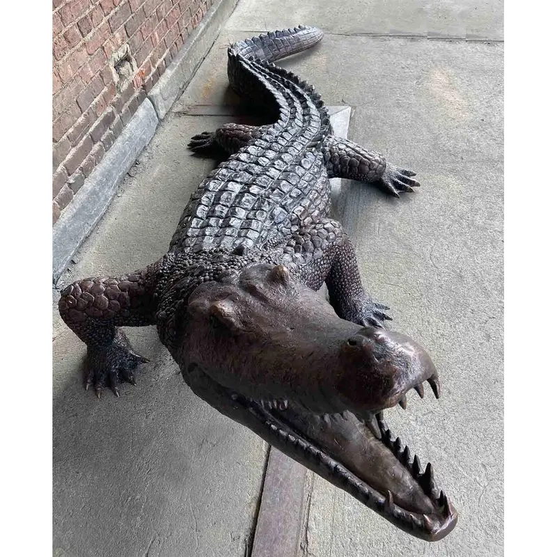 Large Alligator On The Prowl 1