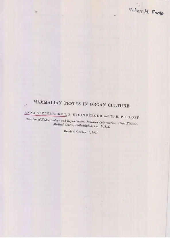 Mammalian Testes In Organ Culture.  By Steinberg, Anna, E. Steinberg, And W.H. Perloff 1